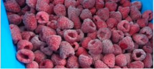 Red Raspberry Frozen - Bioprodu C